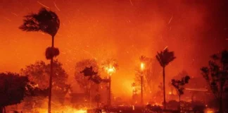 California Wildfires: Celebrity Homes Destroyed in the Devastation